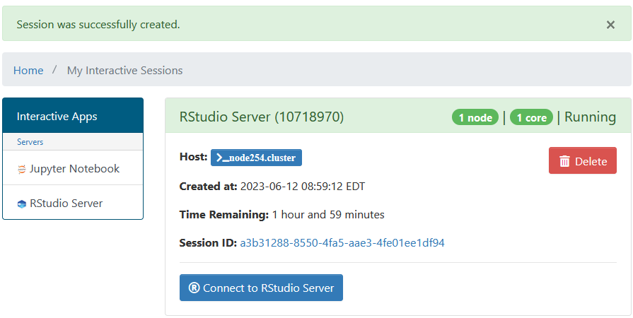 RStudio Server interactive sessions page